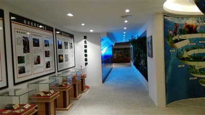 500平米展廳設(shè)計(jì)制作：現(xiàn)代/綠色，教育類展廳-桂林植物園科普展廳（免費(fèi)使用）